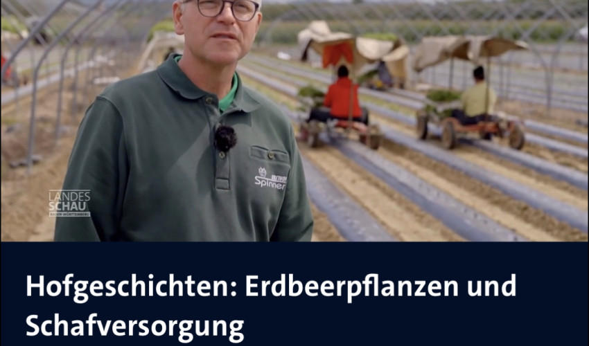 Wir dürfen ein Teil der neuen Hofgeschichten in der Landesschau sein