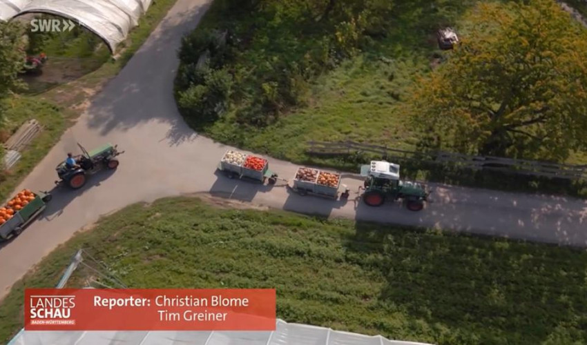 Wir dürfen ein Teil der neuen Hofgeschichten in der Landesschau sein