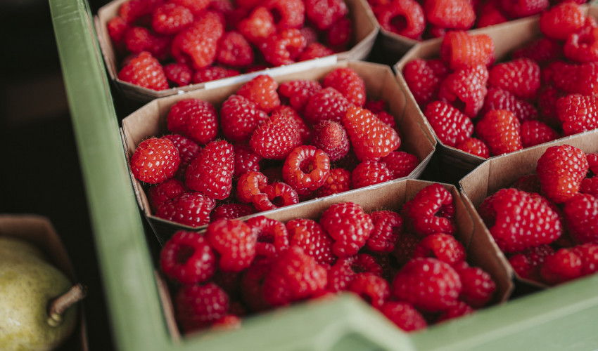 Unsere Himbeeren machen eine Pause ...