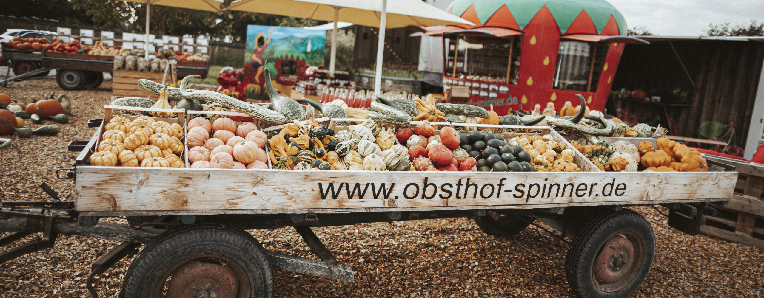 Herbstverkauf ist täglich geöffnet bis zum 26. Oktober