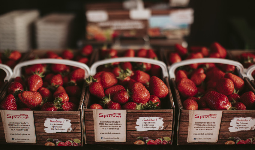 Es geht los mit unseren Erdbeeren !!!!!