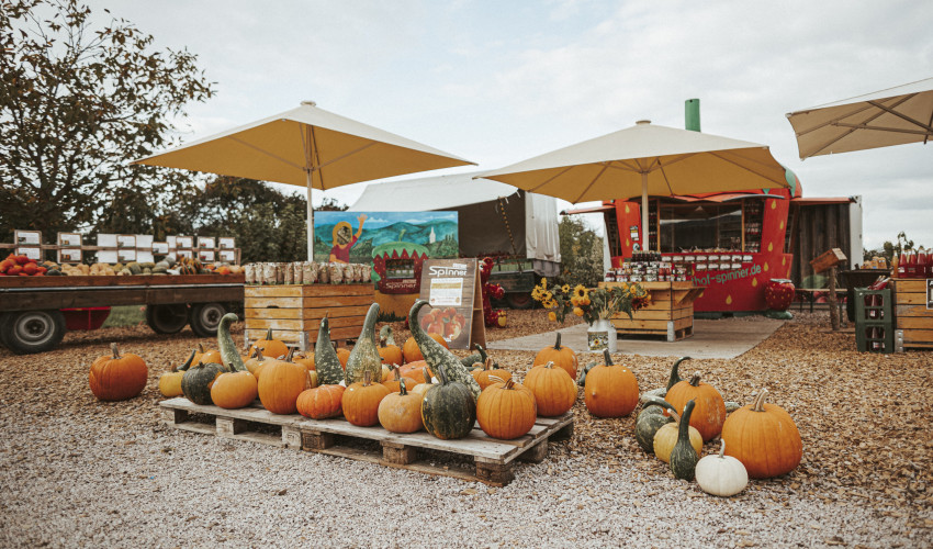 Unsere beiden Herbstverkäufe starten ab dem 21. August